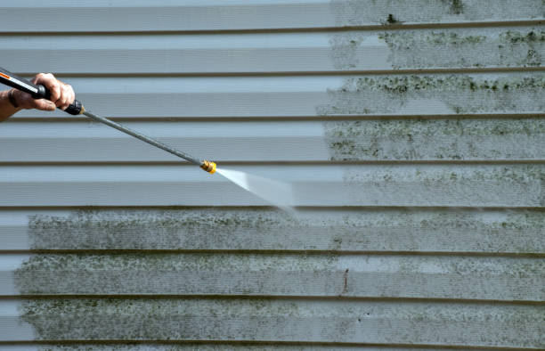 Best Roof Pressure Washing  in Jonesborough, TN