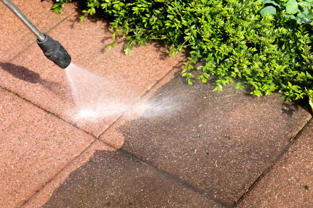 Best Local Pressure Washing Services  in Jonesborough, TN